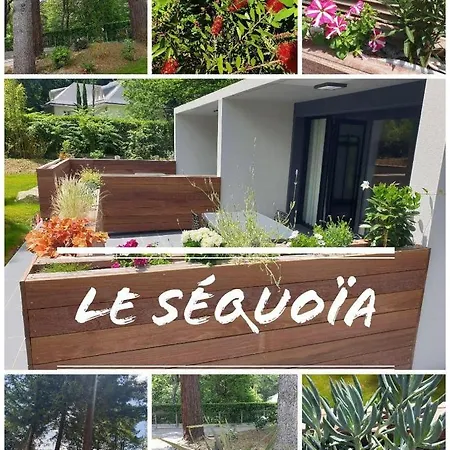 Le Chene Saint-Sébastien-sur-Loire