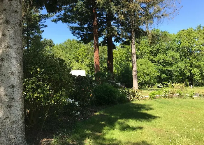 Le Chêne * Saint-Sébastien-sur-Loire