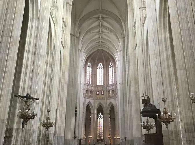 Appartement Le Chêne Saint-Sébastien-sur-Loire