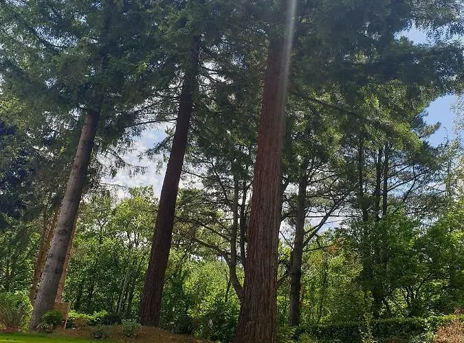 Appartement Le Chêne *